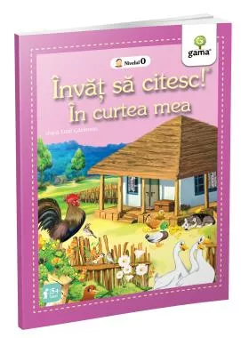 In curtea mea