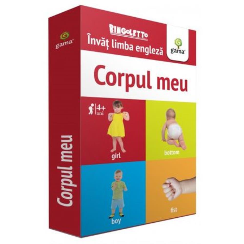 Pachet Invat limba engleza. Seria Bingoletto 2