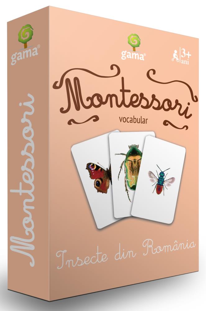 Insecte din Romania