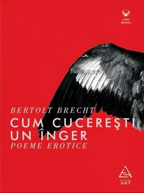 Cum cuceresti un inger. Poeme erotice