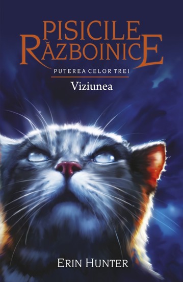 Viziunea. Seria Pisicile razboinice Vol.13