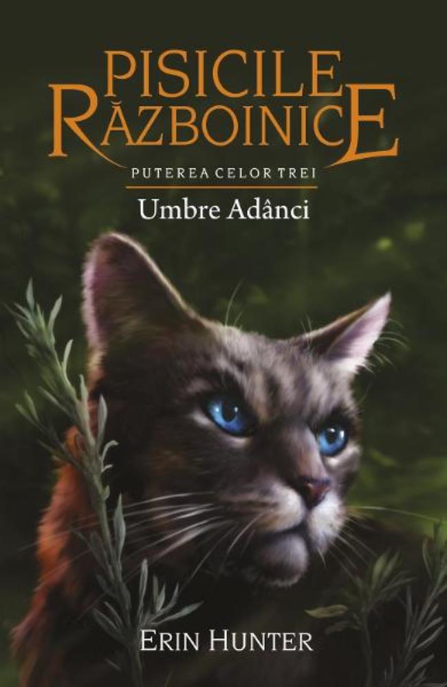 Umbre adanci. Seria Pisicile razboinice Vol.17