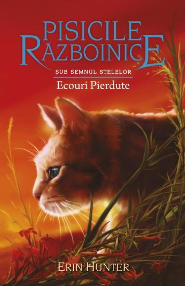 Ecouri pierdute. Seria Pisicile razboinice Vol.20