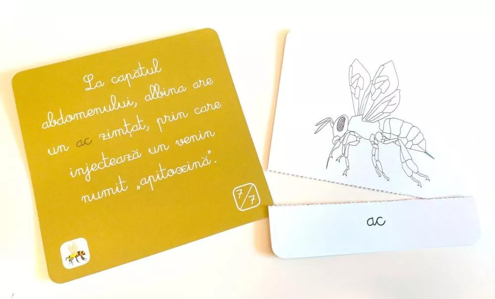 Lectii de zoologie: Nevertebrate