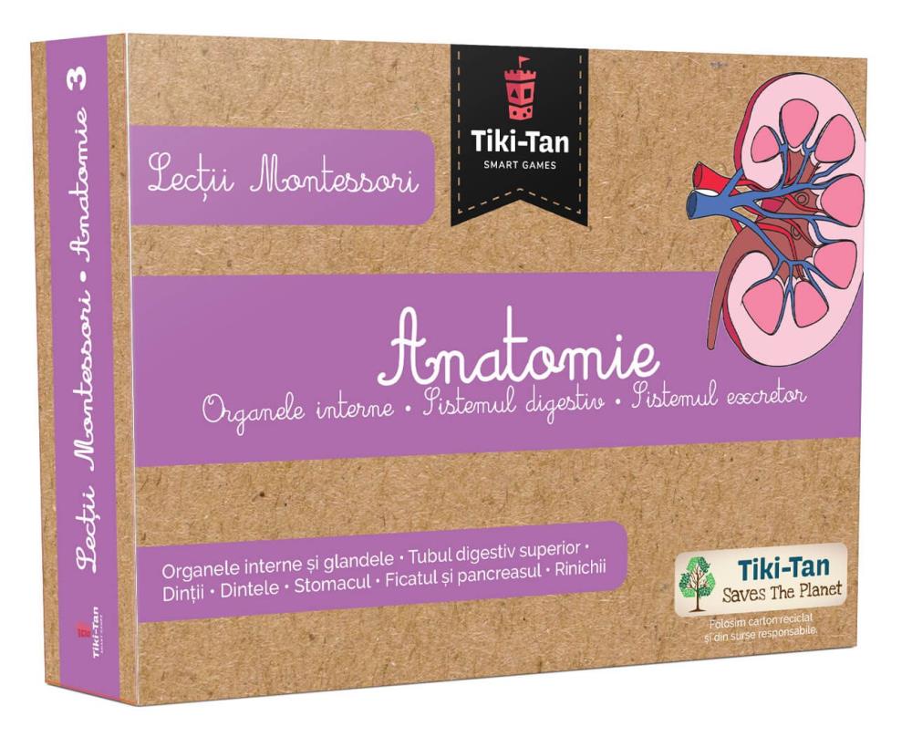 Lectii de anatomie: Organe interne. Sistemul digestiv