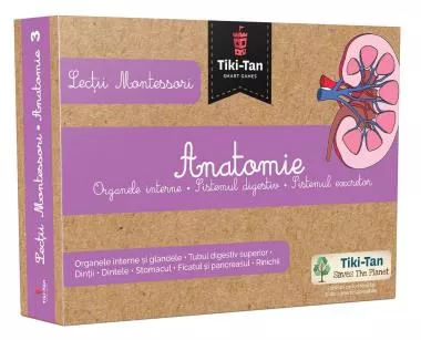 Lectii de anatomie: Organe interne. Sistemul digestiv
