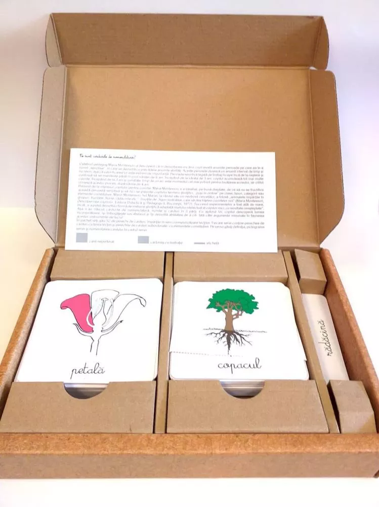 Lectii de botanica